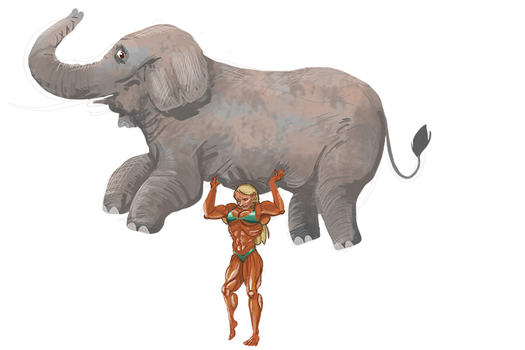She-woman could hold up an elephant (elle).